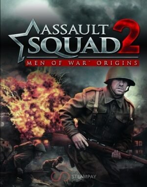 Assault Squad 2: Men of War Origins DLC