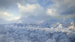 theHunter: Call of the Wild™ – Medved-Taiga - Image 2