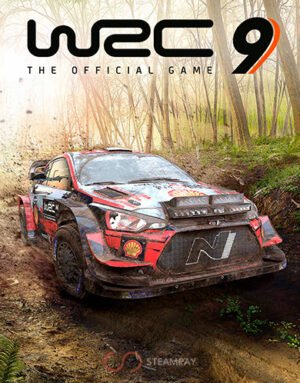 WRC 9 FIA World Rally Championship